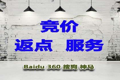 精准投放，高效转化——SEM竞价优化案例集